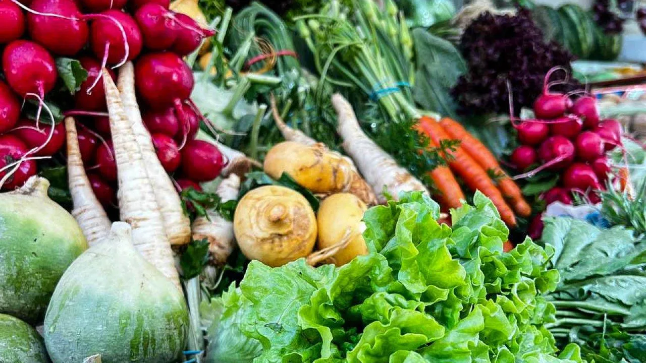 REGIONS/Максим Цыбуляк