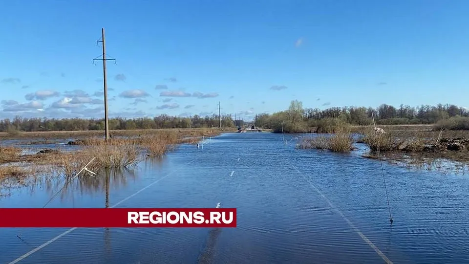 Фото: пресс-служба администрации городского округа Луховицы