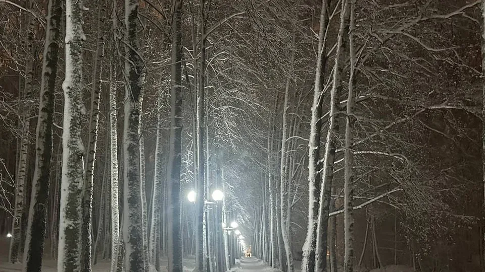 Фото: Александра Серова