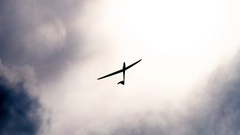 Фото: unsplash.com