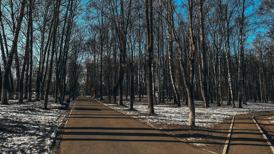 Фото: Парк культуры и отдыха г.о. Щелково