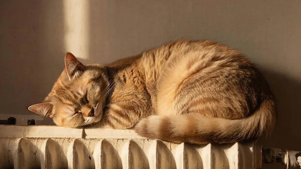 REGIONS/Сгенерировано нейросетью