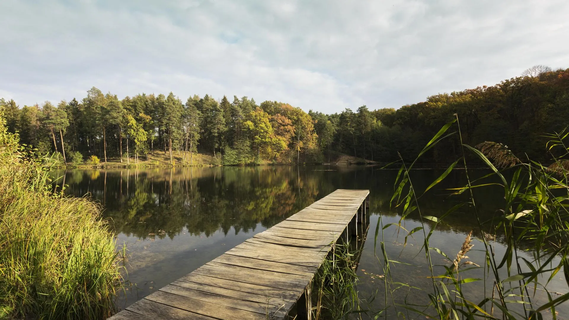 Изображение от Freepik