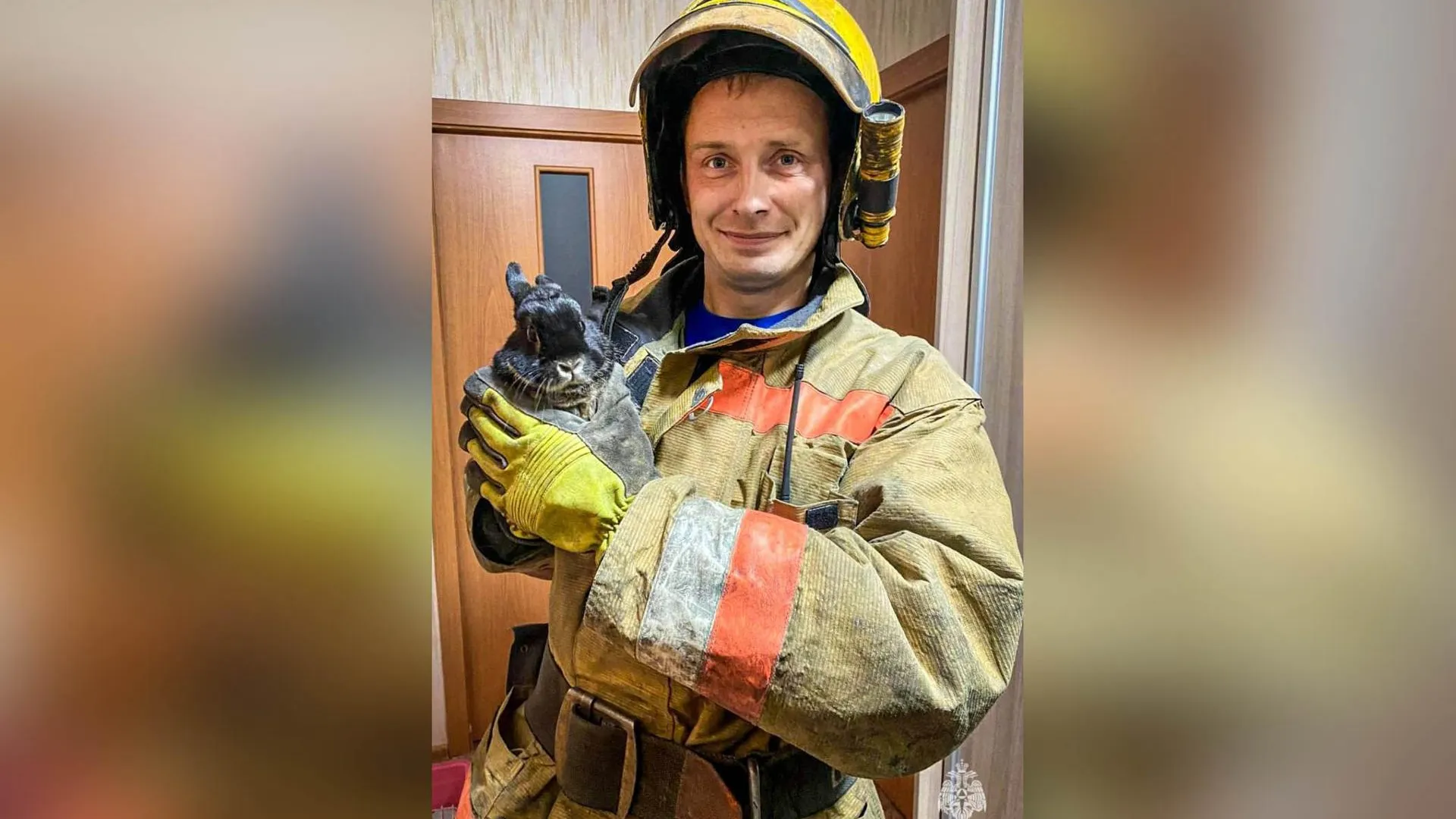 Фото: пресс-служба МЧС России