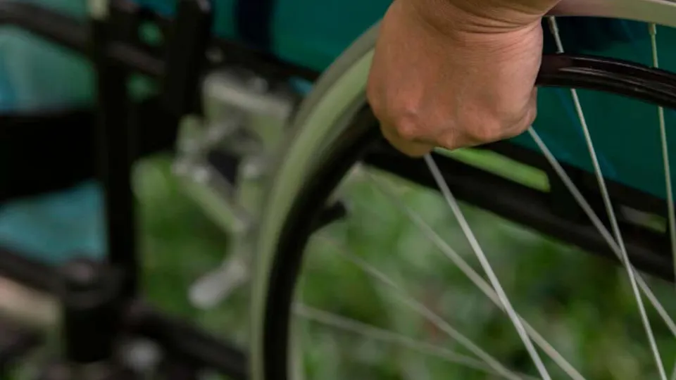 Фото: freepik.com