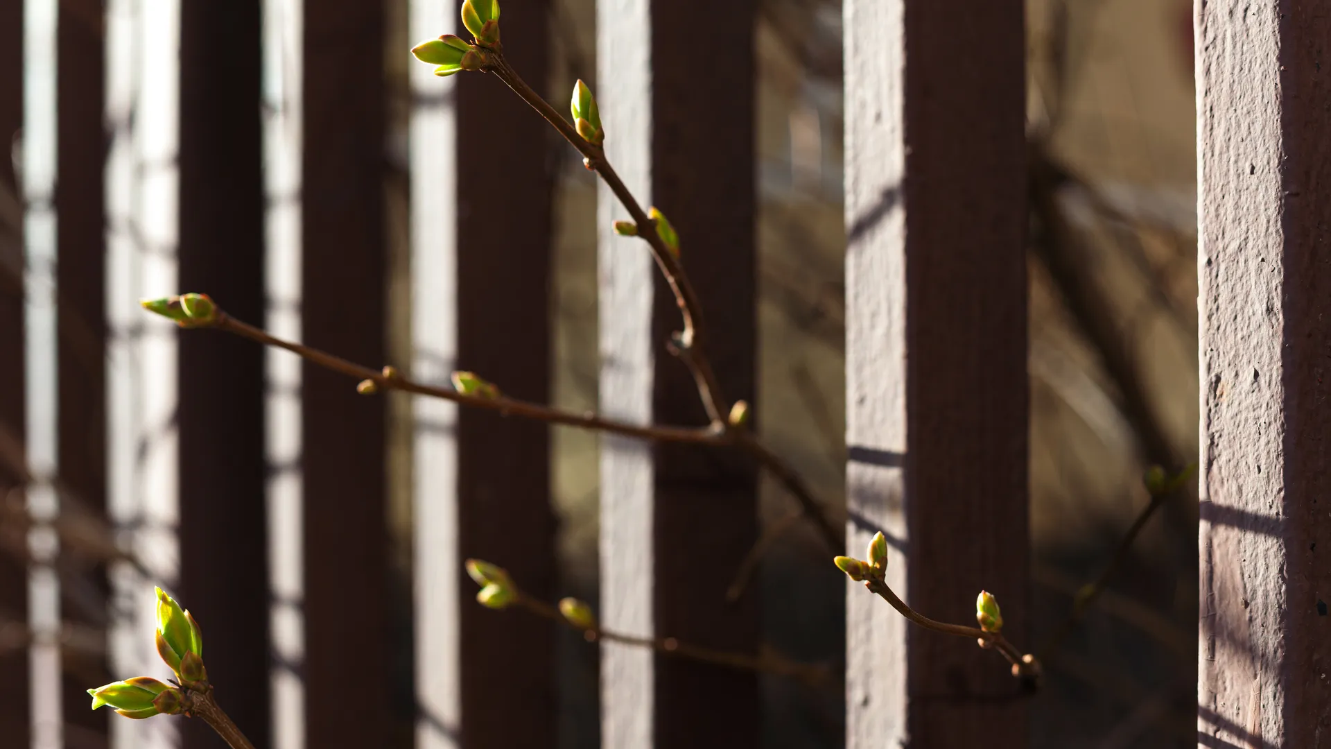 медиасток.рф