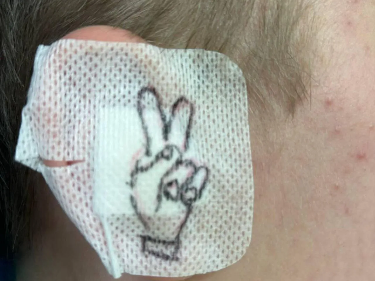 Фото:&nbsp;Пресс-служба Видновской КБ