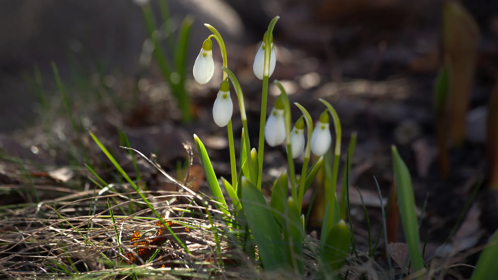 медиасток.рф