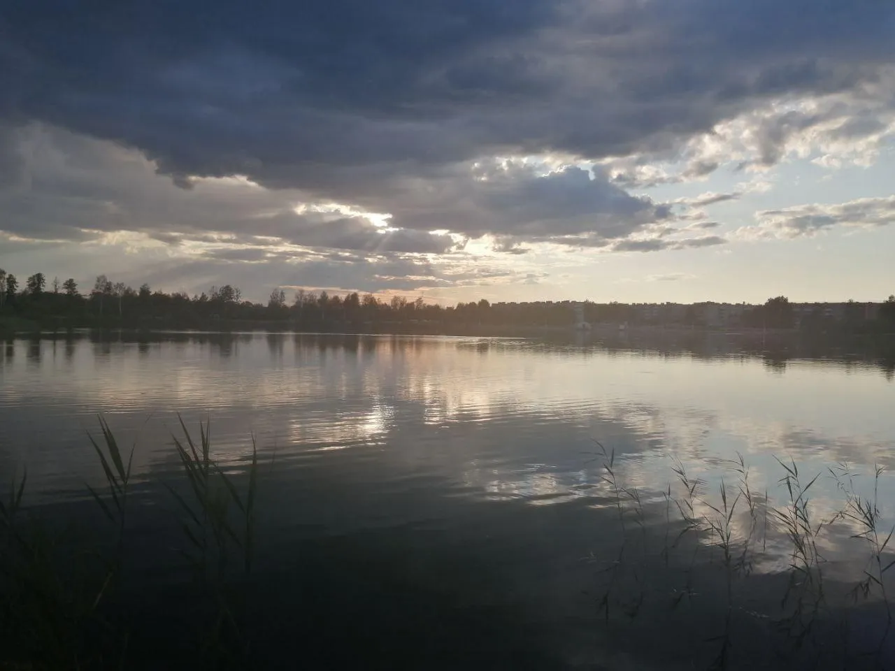 Никита Волков