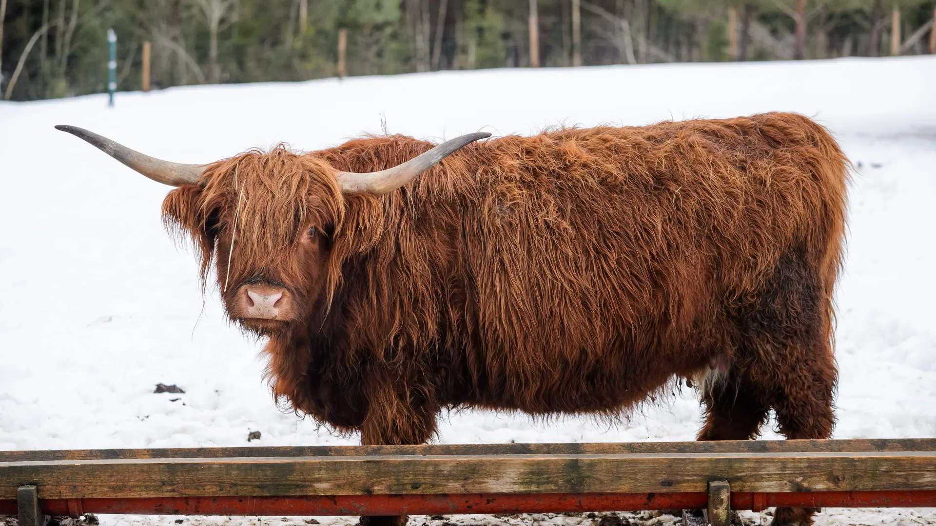 медиасток.рф