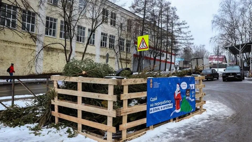Фото: пресс-служба администрации городского округа Мытищи