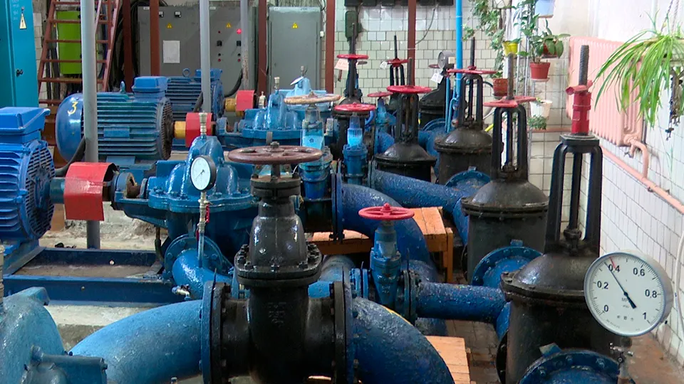 Фото: МедиаБанк Подмосковья/Ксения Казакова