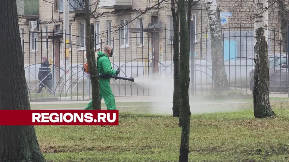 Фото: Алена Притула