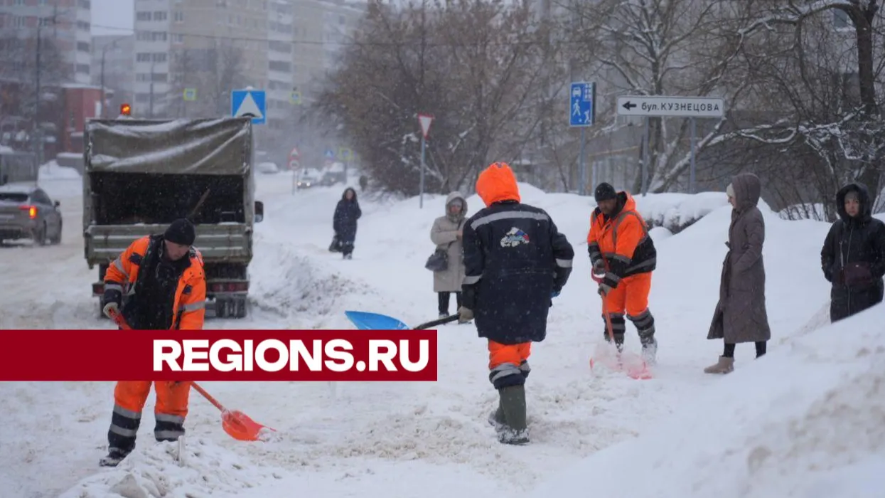 Фото: Дмитрий Зайчиков
