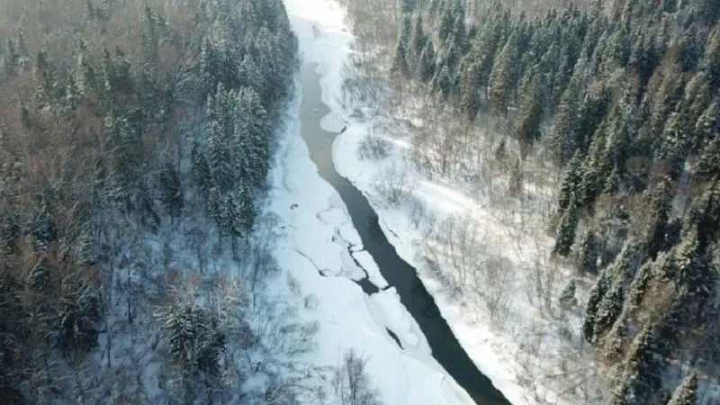 Министерство экологии и природопользования Московской области