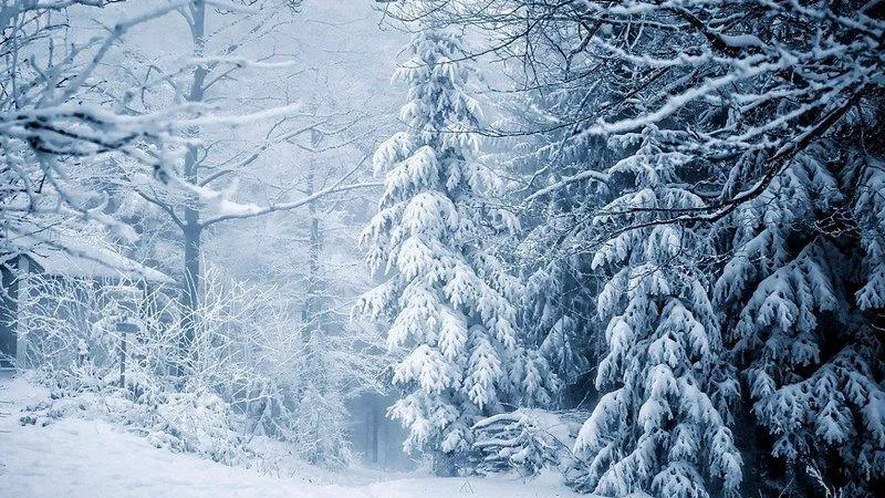 Жалоб на нарушения экологии в Подмосковье стало меньше на треть