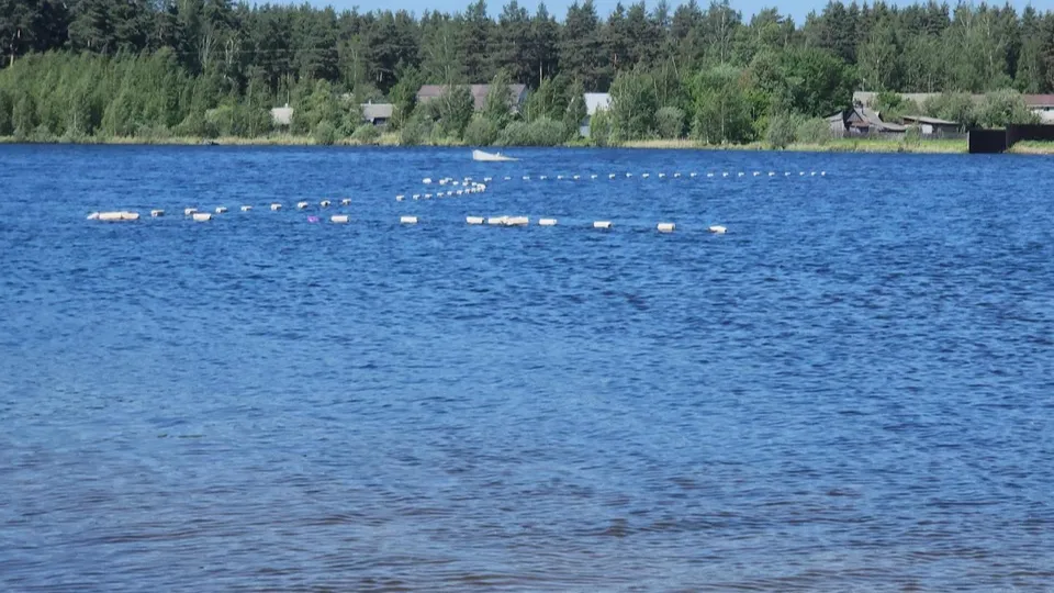 Фото: Ольга Сычева