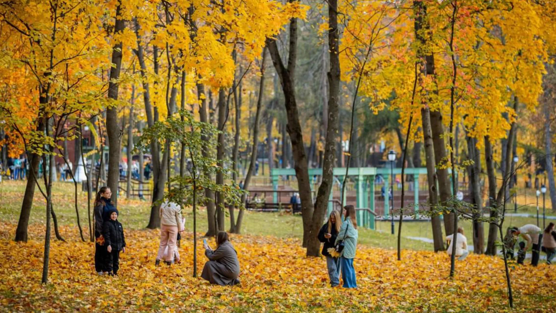 Фото: Раменский городской парк