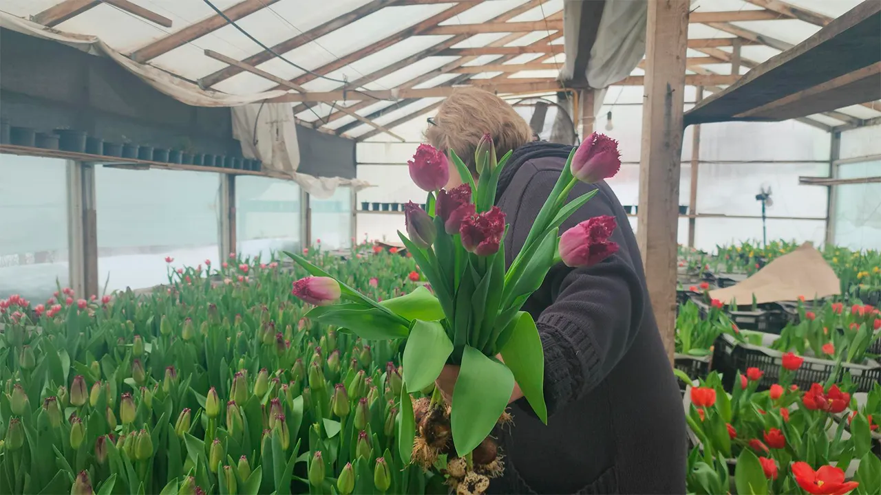 Станислав Орлов