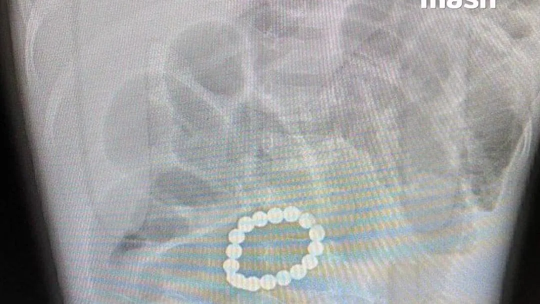 ТГ-канал MASH