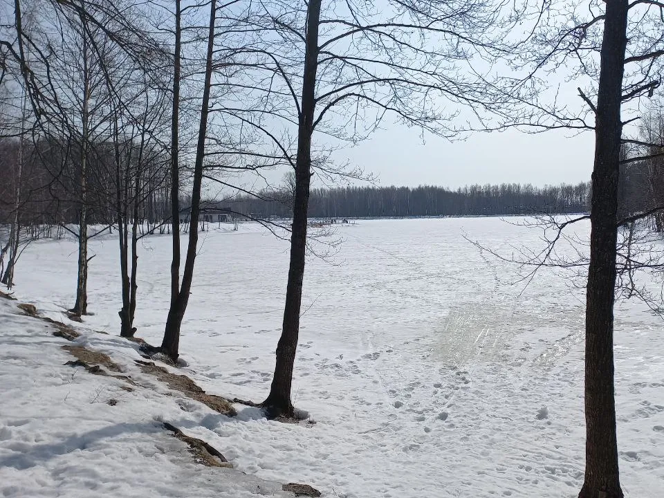 Фото: REGIONS/Олег Книжник