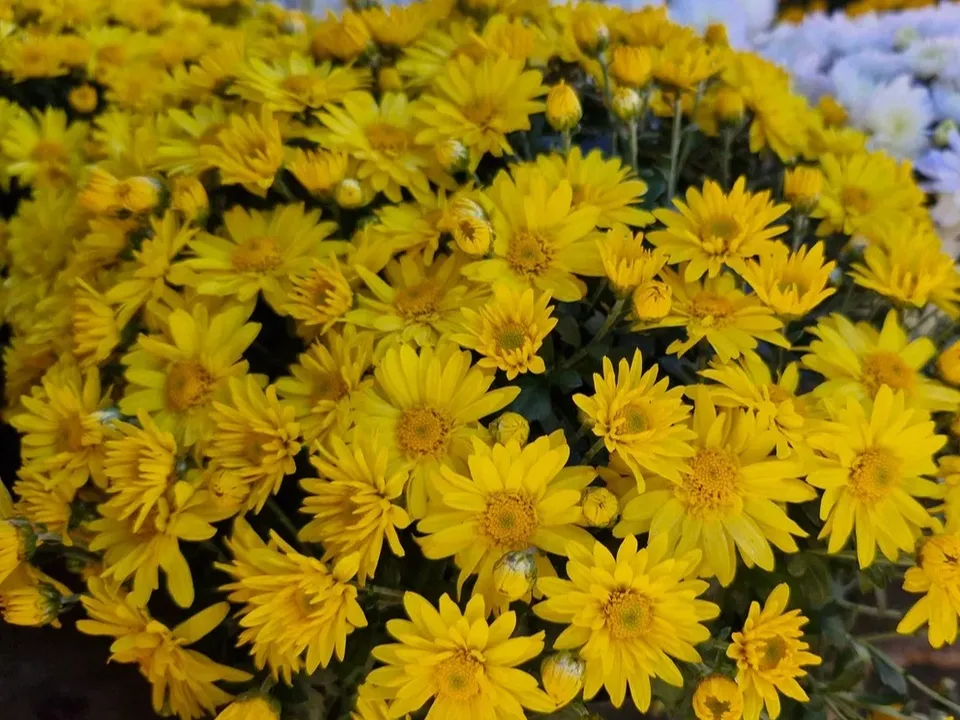 Фото: REGIONS/Наталия Надточая