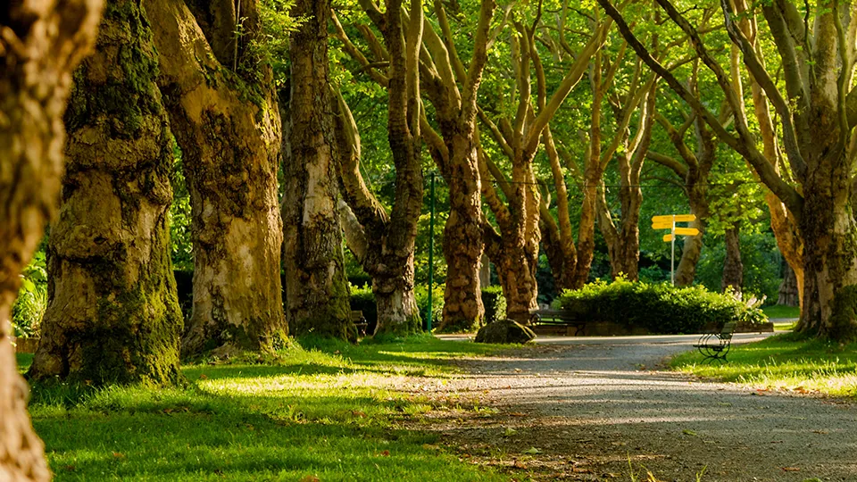 Фото: unsplash.com