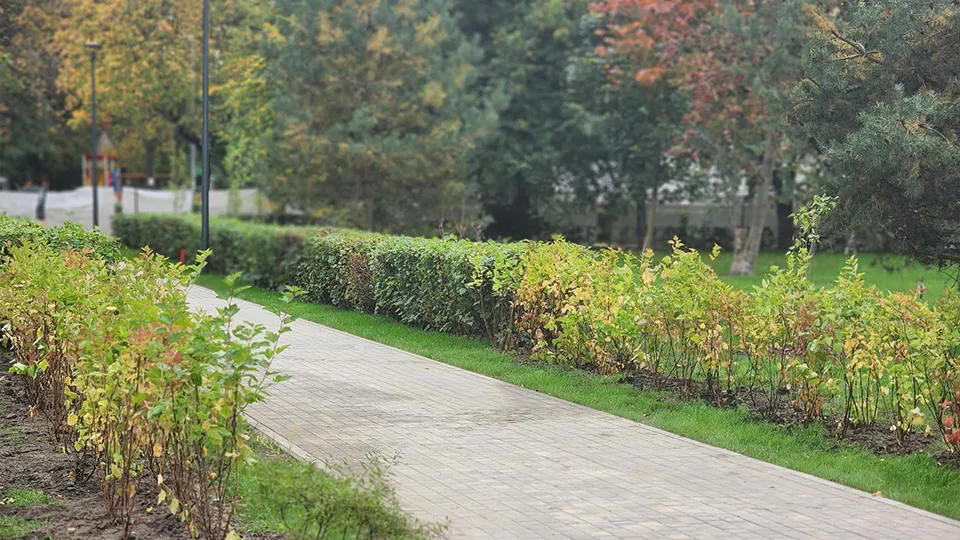 Фото: МедиаБанк Подмосковья/Роман Савельев