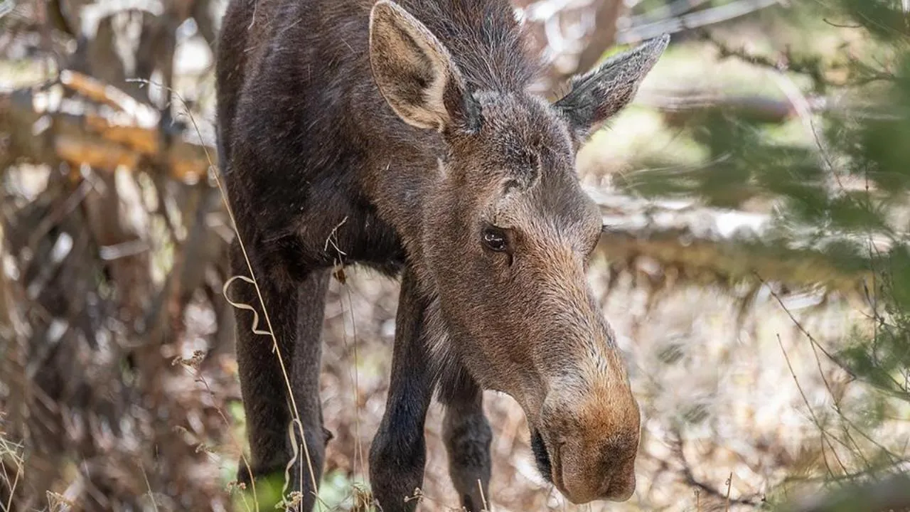 istockphoto.com/Dave Collins