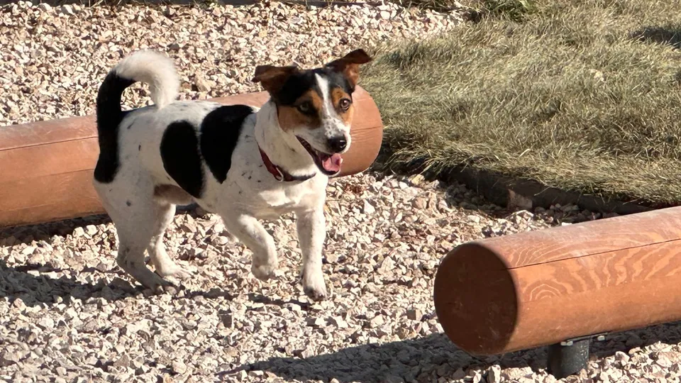 Фото: МедиаБанк Подмосковья/Мария Шматкова