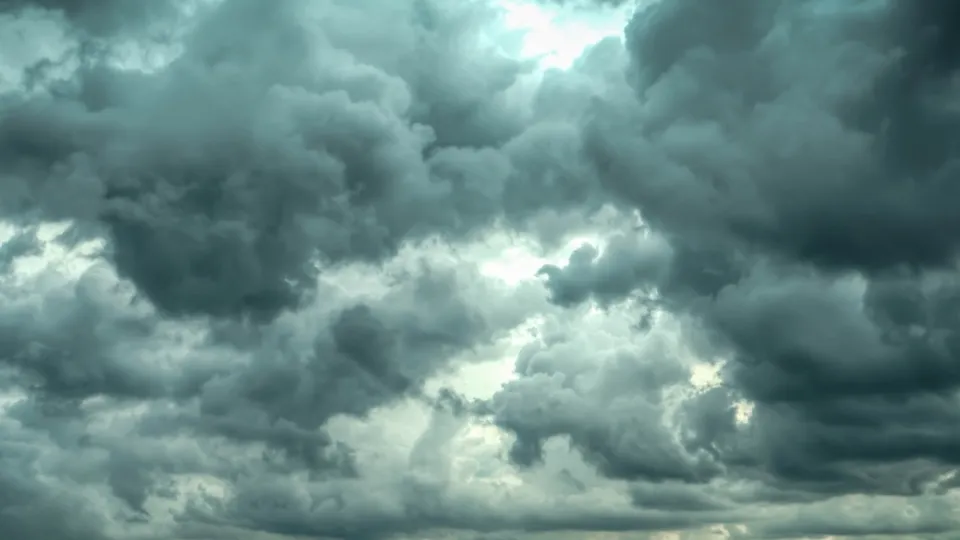 Фото: pxhere.com