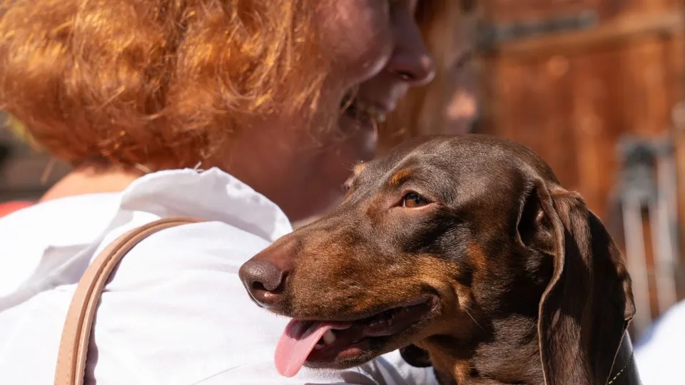 Фото: медиасток.рф