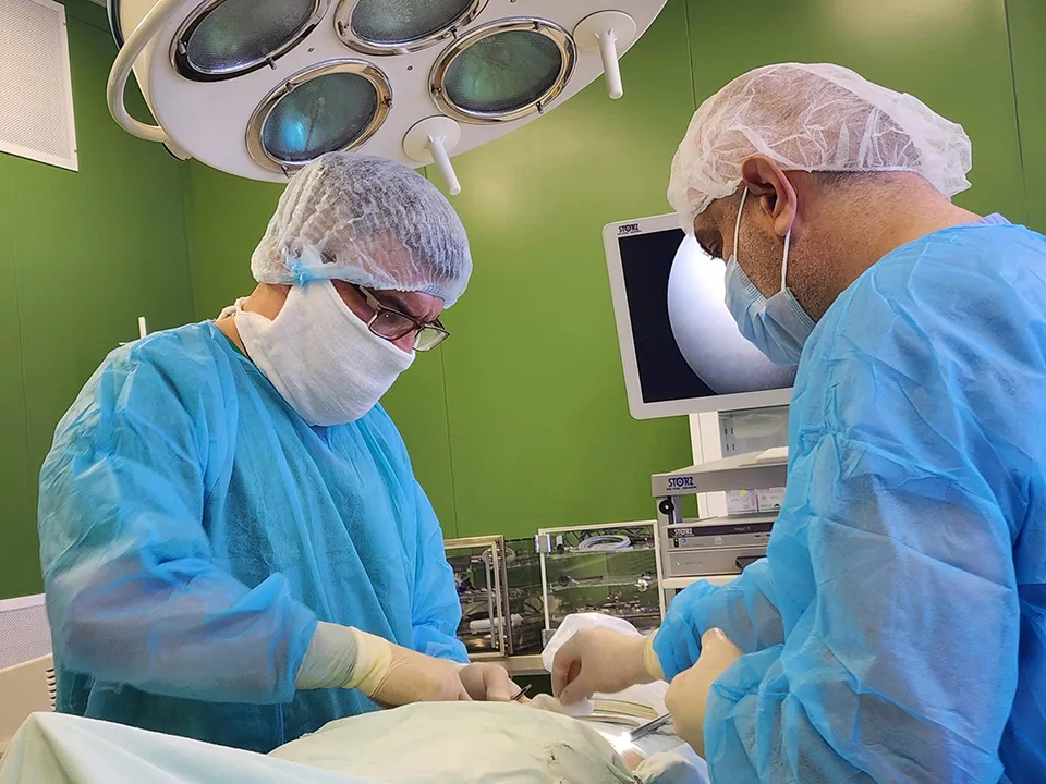 Фото: Оксана Лапшина