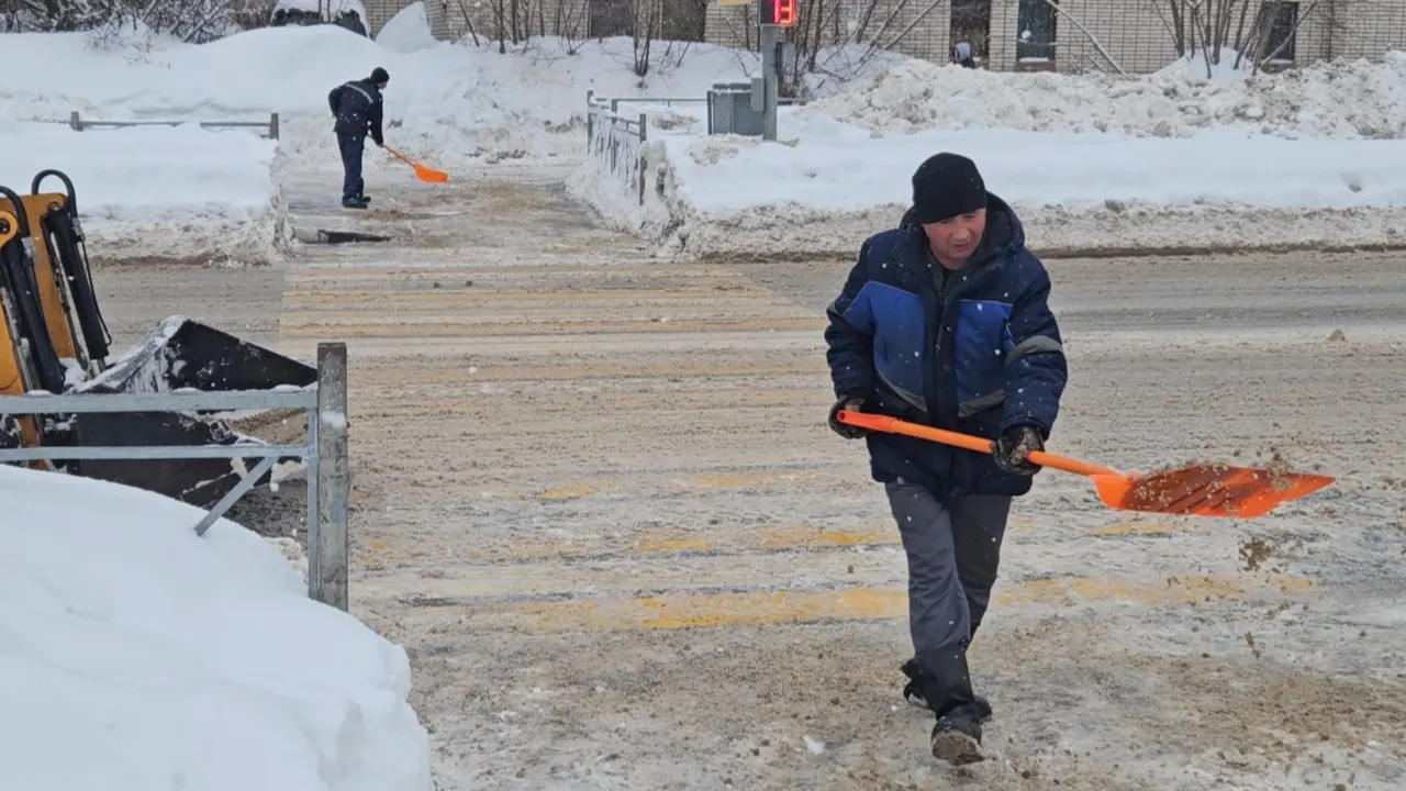 МедиаБанк Подмосковья/Ольга Вельшикаева
