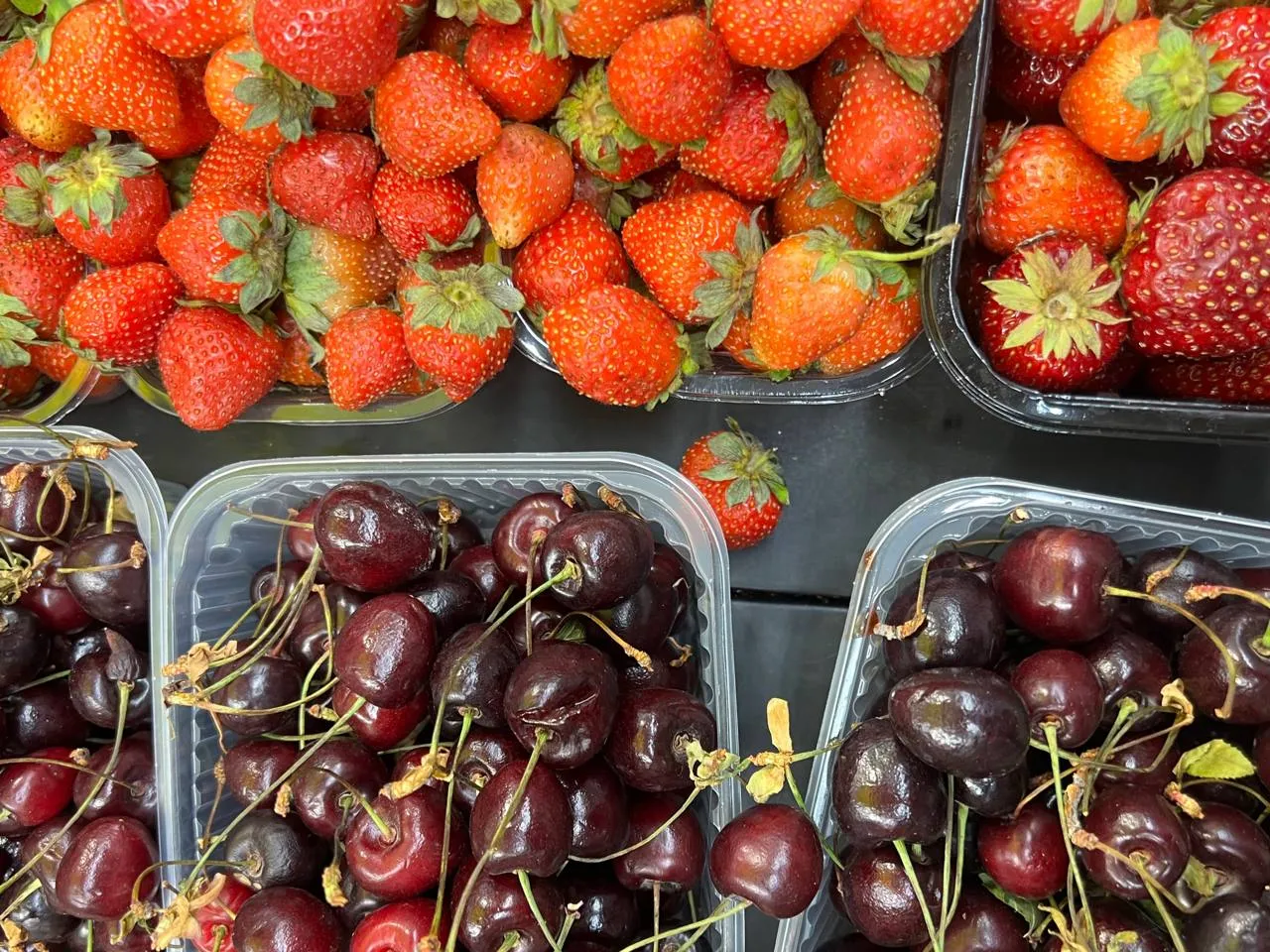 Фото: REGIONS/Татьяна Кордюкова