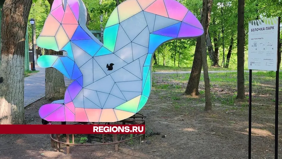 Фото: Ирина Моисеева