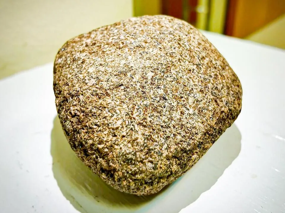 Фото: МедиаБанк Подмосковья/Данила Кирьянов&nbsp;