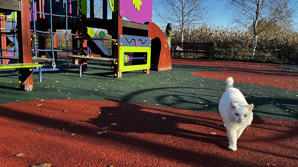 Фото: Наталья Котова