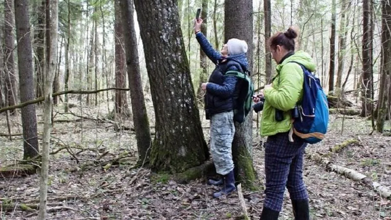 ПФ «Верховье»