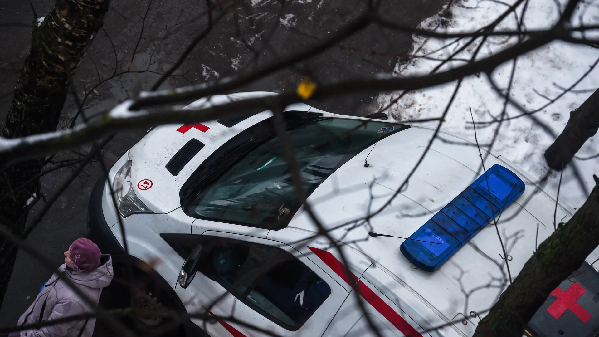 Стая ротвейлеров напала на детей в Раменском: 4-летнему мальчику наложили 25 швов