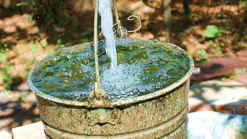 В Польше могут ввести норму по сбору дождевой воды ведрами — мнение политолога