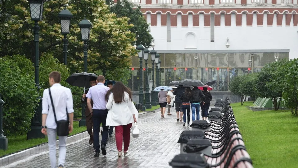 Фото: медиасток.рф