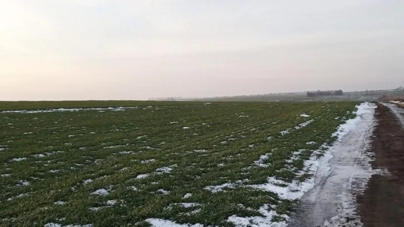 Министерство сельского хозяйства и продовольствия МО