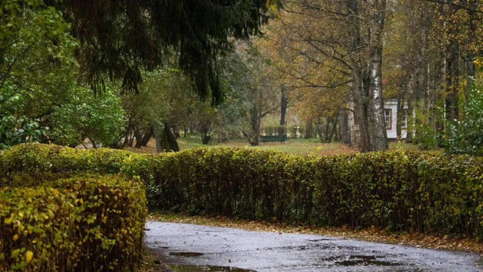 Фото: t.me/chekhovmuseum