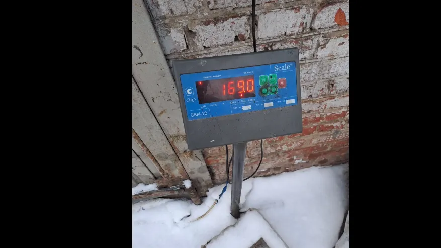 Фото: скриншот с видео "Зеленый Призыв"