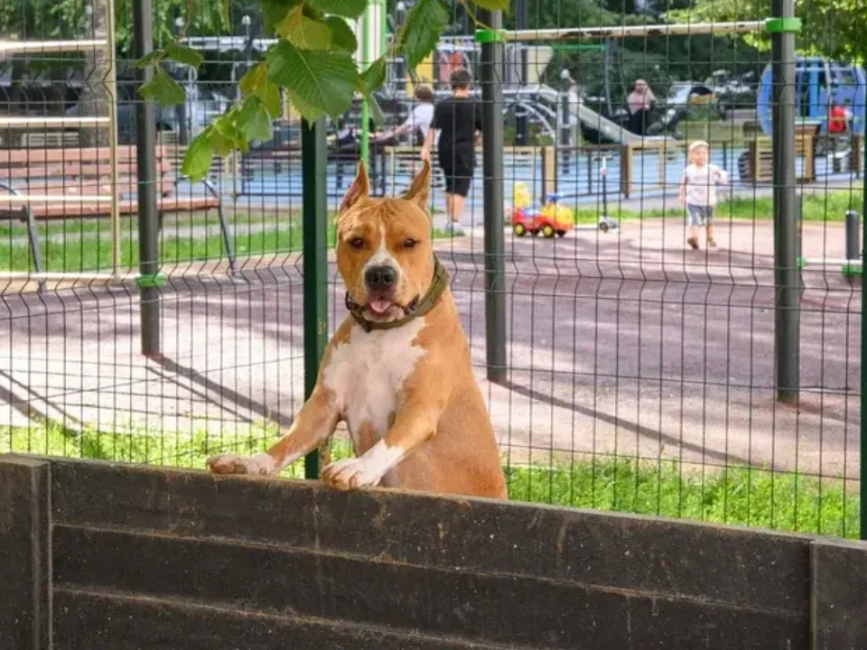 Фото: Ирина Губанова