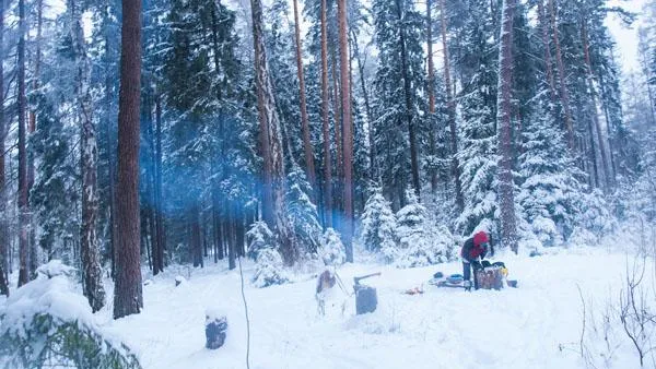 Частичка севера в сердце Подмосковья