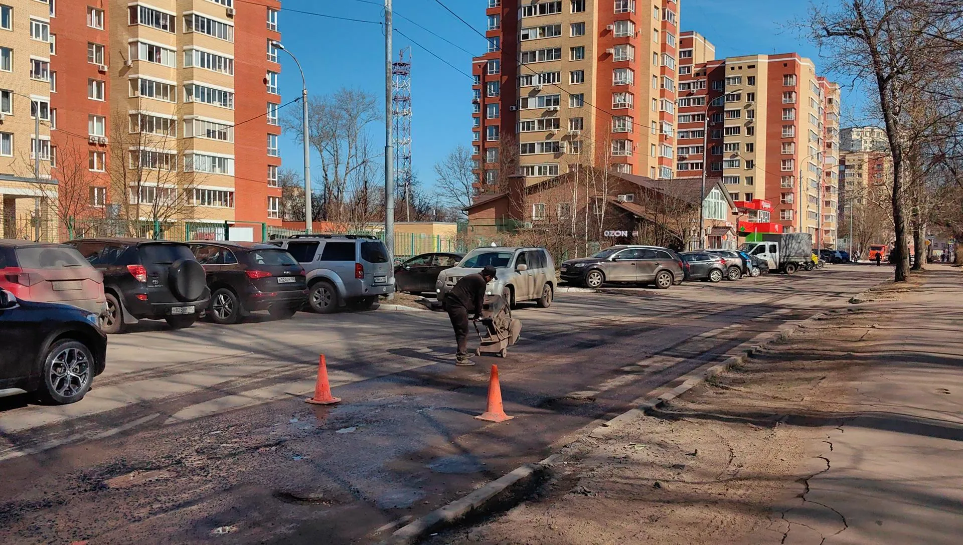 Елена Катасонова