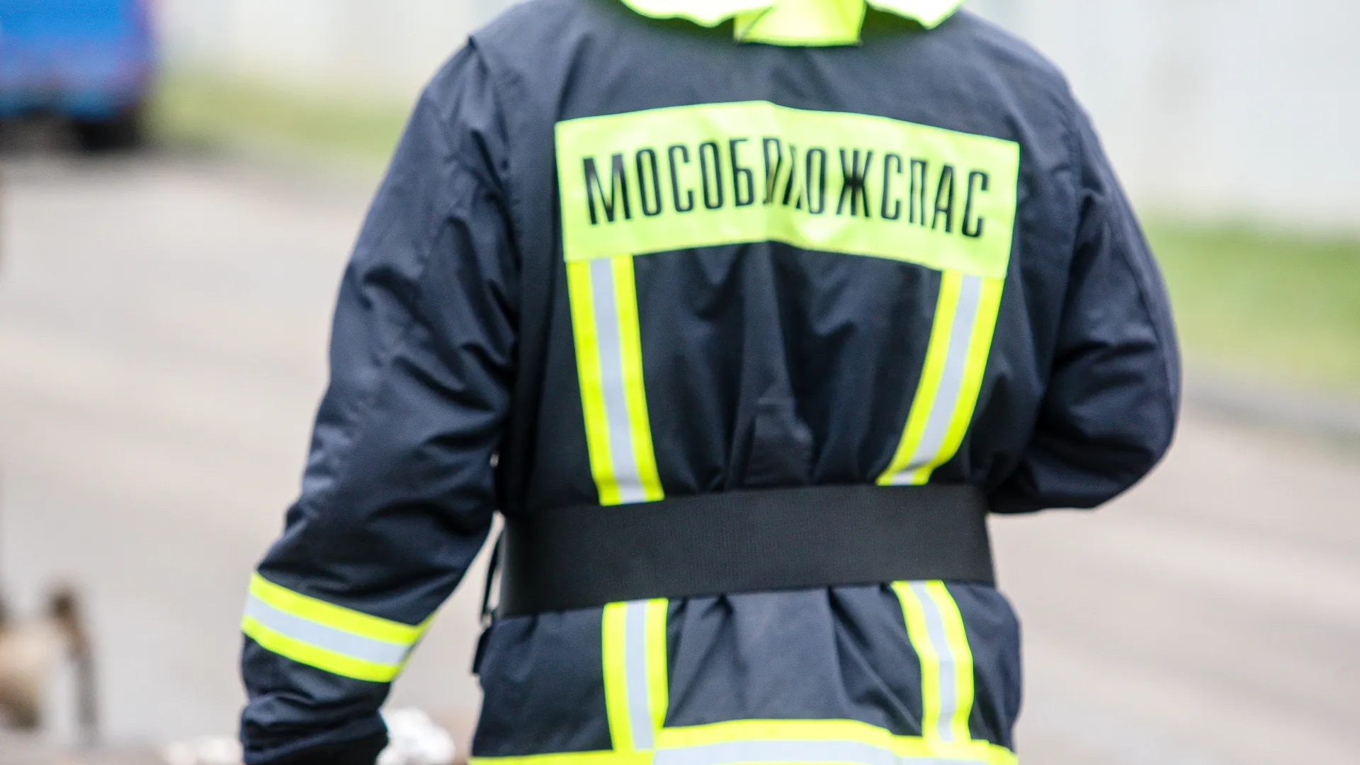 Фото: Владимир Лебедев