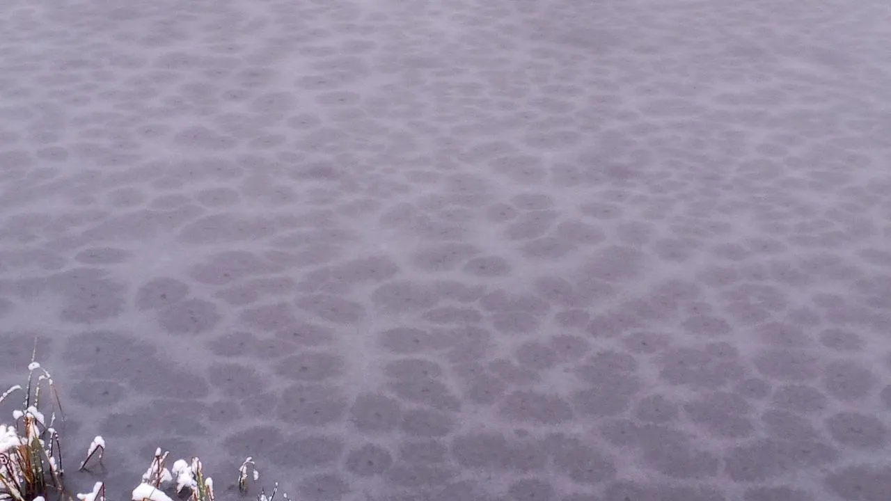 Фото: REGIONS/Василий Тремасов